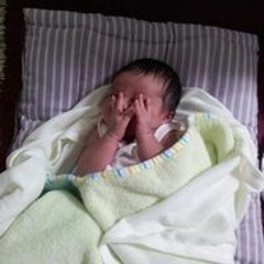 وردة الاوركيد