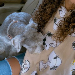 ❣️𝔻𝕕❣️