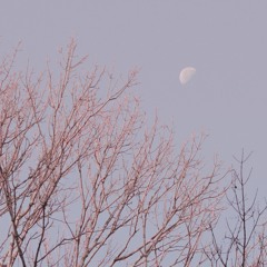 selene