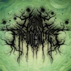 Torrent, Spectral Steed (Release on Cosmic Frequencies Records)