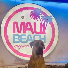 Izan Leonar laserrada