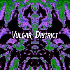 VulgarDistrict23