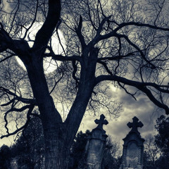 SCRYPT GANG EXCLUSIVES