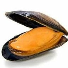 la_moule09