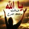 الوصول إلى القمة لا يحتاج إلى أقدام بل إلى إقدام