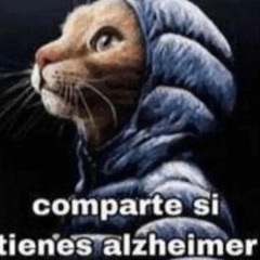 no Bro ahora no luego lo envío eso