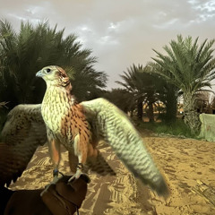 بو محمد