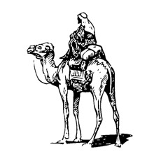 Zufi