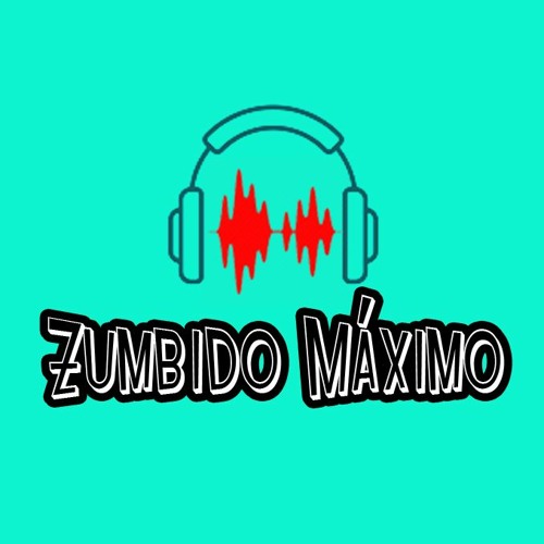 Zumbido Máximo 🎙️ 🎶’s avatar