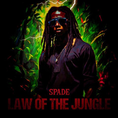 Spade Anthony