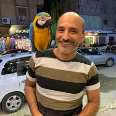وليد شلبى