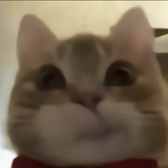 iihyos