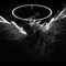 AVIGAIN