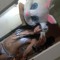 mlody kesha