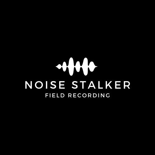 Noise Stalker’s avatar