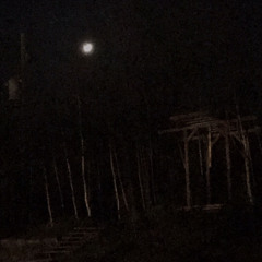 Crépuscule Noir