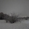 rockwood2