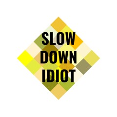 Slow Down Idiot