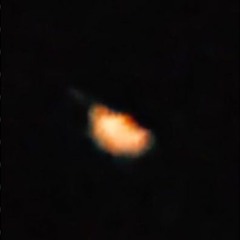 Xylite