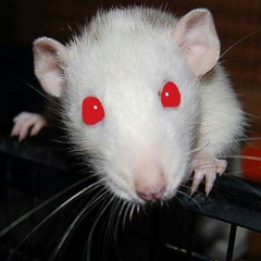 White Boy Justin Bennett