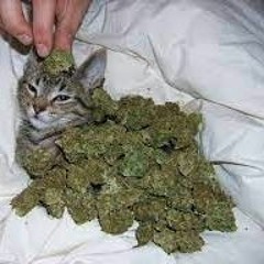 MC Buffy Aka LilJesus n Shit