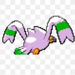 SEAGULLS! (STOP IT NOW)