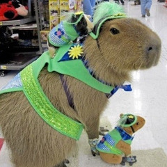 Capybara