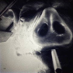 МЦ Абортарий