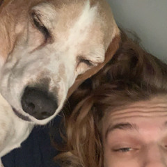 wookjoey