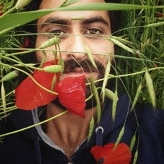 Mubi