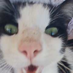 Semplicemente_alessandra