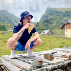 hawlichecker