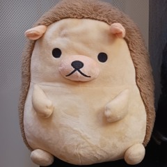 [k-pop 키업] 손오공 가사에 영어 가사가 나올때 마다 +1키 당해 버렸다.....
