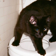 blue meow