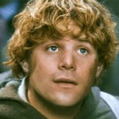Samwise Gamgee
