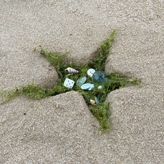 gone st4rf1sh-ing…, 💫🎶