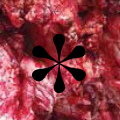Noehaem