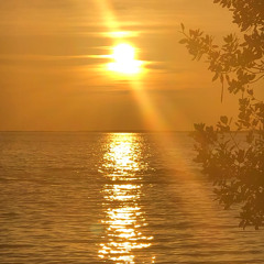 rosemaryann_peace