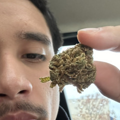 spazzo! (@pokinhunnids)
