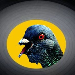 PigeonHolesSystemOfSoundUmbrella