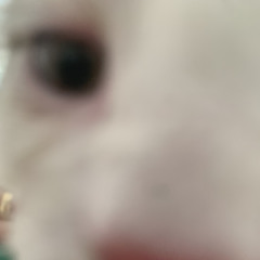 gekten00