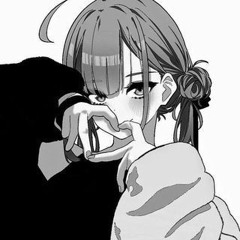 sho ✦