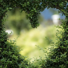 Chili Myers vclarkproductions