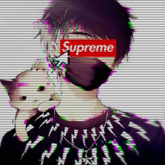 m a m m a l