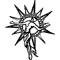 SolShift