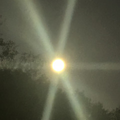 Guns are 4 gr0wn ups