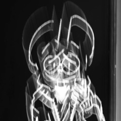 Mammal Backbones
