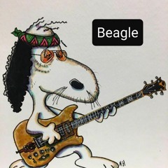 BeagleBand.com