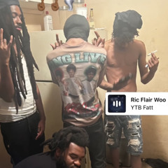 crasherllm4l