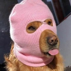 Vinny The Villain
